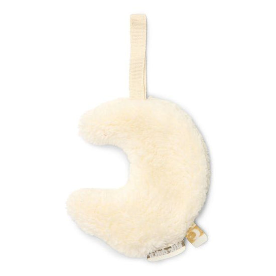 https://www.vanastenbabysuperstore.nl/media/catalog/product/3/8/3892820006_2_speendoekje_little_dutch_maan.jpg
