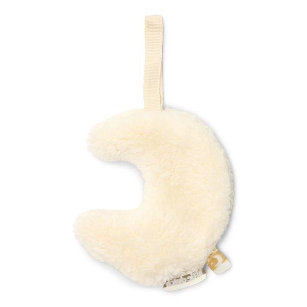 https://www.vanastenbabysuperstore.nl/media/catalog/product/3/8/3892820006_2_speendoekje_little_dutch_maan.jpg