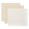 https://www.vanastenbabysuperstore.nl/media/catalog/product/3/8/3892870001_1_little_dutch_monddoekjes_3pack_little_goose_beige.png