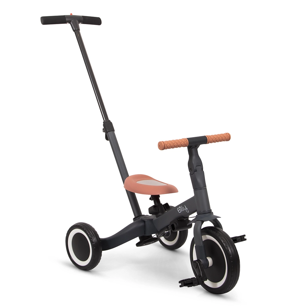 https://www.vanastenbabysuperstore.nl/media/catalog/product/3/9/3902400032_2_driewieler_baninni_gio_4in1_gray_met_duwstang.png