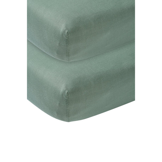 https://www.vanastenbabysuperstore.nl/media/catalog/product/4/5/4591800039_1_hoeslaken_meyco_2st_wieg_40x8090_stone_green.jpg