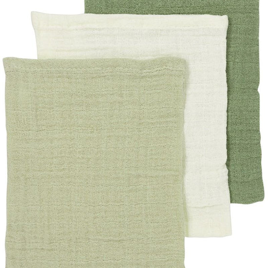 https://www.vanastenbabysuperstore.nl/media/catalog/product/4/5/4592040015_1_washandjes_meyco_soft_oliveolive_greennatural_3pack.jpg