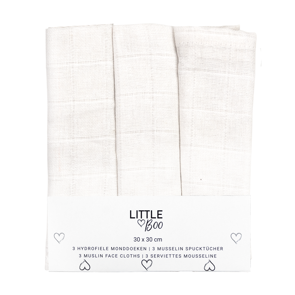 https://www.vanastenbabysuperstore.nl/media/catalog/product/4/5/4592110302_1_monddoekjes_little_boo_uni_white_3pack_30x30.png