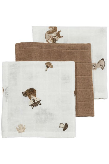 https://www.vanastenbabysuperstore.nl/media/catalog/product/4/5/4592110331_1_monddoekjes_meyco_forest_animals_toffee_3pack.jpg