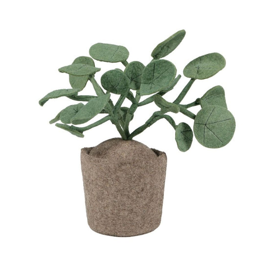 https://www.vanastenbabysuperstore.nl/media/catalog/product/4/6/4632300003_1_plant_kidsdepot_pileo_pepero_green.jpg