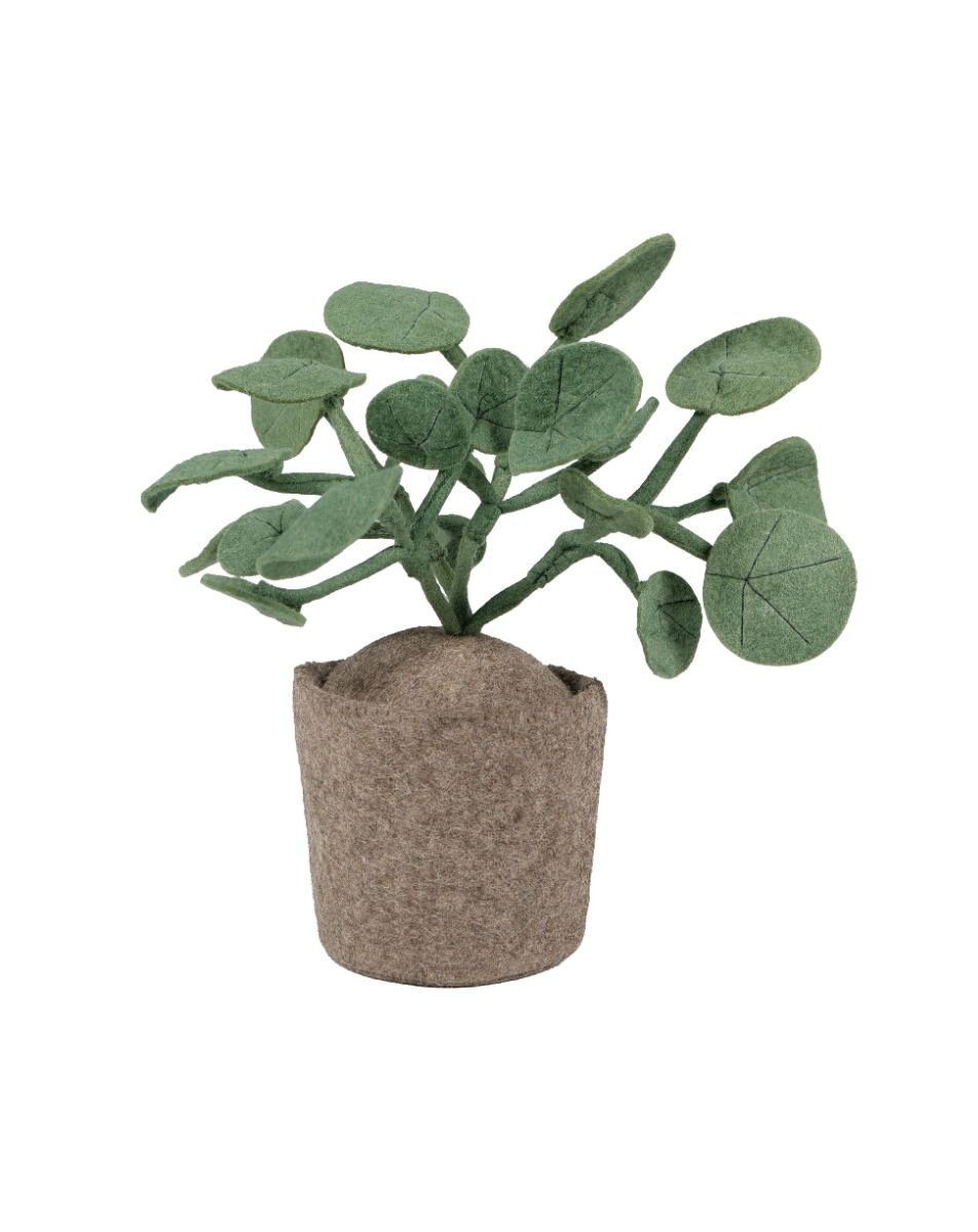 https://www.vanastenbabysuperstore.nl/media/catalog/product/4/6/4632300003_1_plant_kidsdepot_pileo_pepero_green.jpg