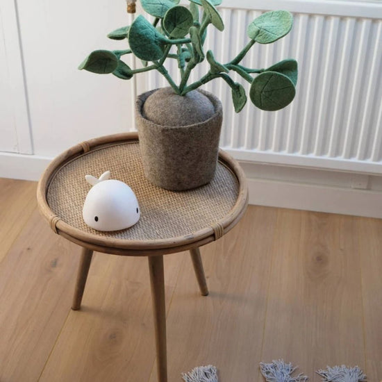 https://www.vanastenbabysuperstore.nl/media/catalog/product/4/6/4632300003_2_plant_kidsdepot_pileo_pepero_green.jpg