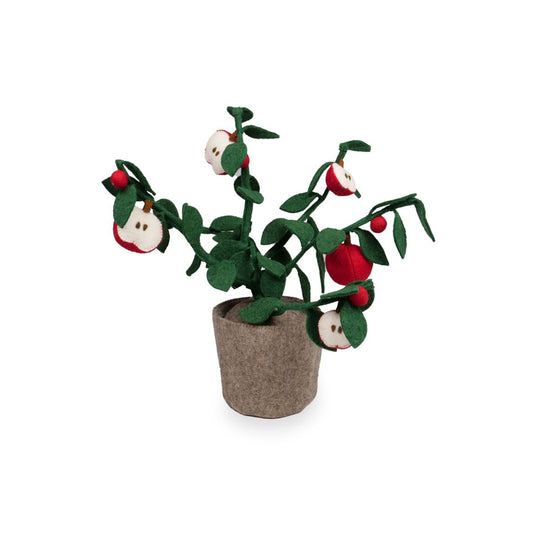 https://www.vanastenbabysuperstore.nl/media/catalog/product/4/6/4632300026_1_plant_kidsdepot_apple.jpg