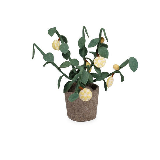 https://www.vanastenbabysuperstore.nl/media/catalog/product/4/6/4632300027_1_plant_kidsdepot_citrus.jpg