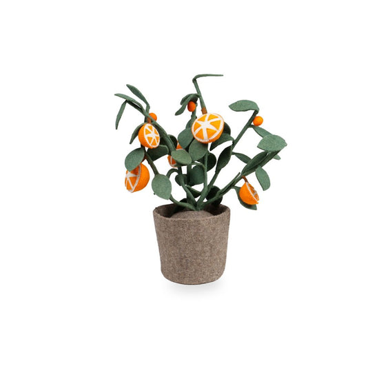 https://www.vanastenbabysuperstore.nl/media/catalog/product/4/6/4632300028_1_plant_kidsdepot_orange.jpg