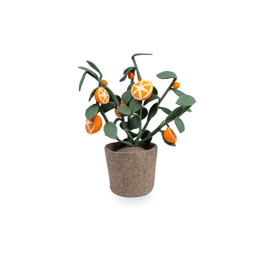 https://www.vanastenbabysuperstore.nl/media/catalog/product/4/6/4632300028_1_plant_kidsdepot_orange.jpg