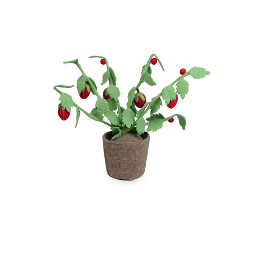 https://www.vanastenbabysuperstore.nl/media/catalog/product/4/6/4632300029_1_plant_kidsdepot_strawberry.jpg