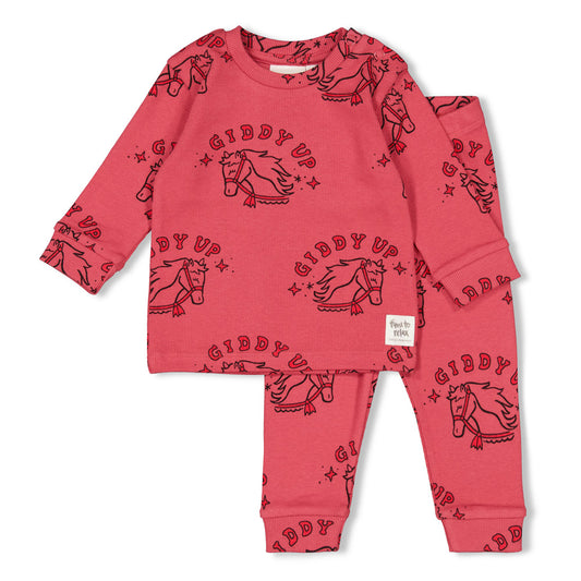 https://www.vanastenbabysuperstore.nl/media/catalog/product/5/0/50500087_1_feetje_pyjama_howdy_holly_berry_35.jpg