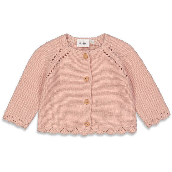 https://www.vanastenbabysuperstore.nl/media/catalog/product/5/1/51300430_1_vest_feetje_gebreid_falling_for_you_roze.jpg