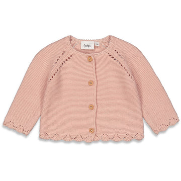 https://www.vanastenbabysuperstore.nl/media/catalog/product/5/1/51300430_1_vest_feetje_gebreid_falling_for_you_roze.jpg