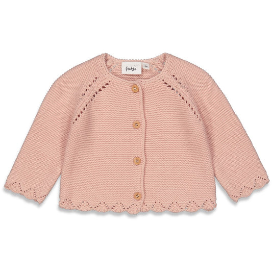 https://www.vanastenbabysuperstore.nl/media/catalog/product/5/1/51300430_1_vest_feetje_gebreid_falling_for_you_roze.jpg