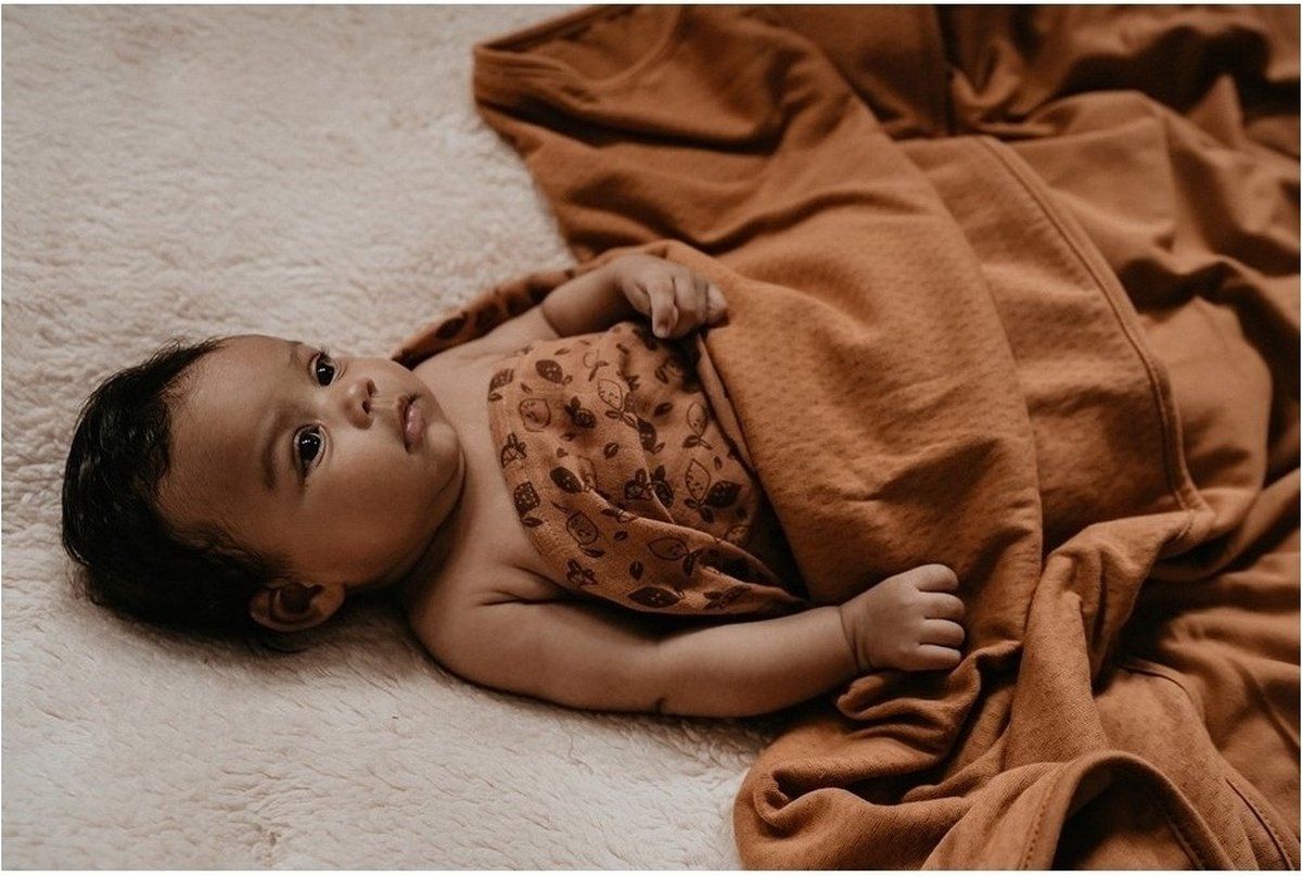 https://www.vanastenbabysuperstore.nl/media/catalog/product/5/4/5421900117_2_deken_wieg_snoozebaby_zomer_gots_75x100_toffee.jpg