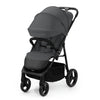 https://www.vanastenbabysuperstore.nl/media/catalog/product/5/9/5902533924844_1_buggy_kinderkraft_trig3_xl_granite_grey.jpg