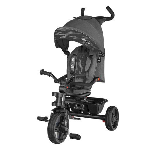 https://www.vanastenbabysuperstore.nl/media/catalog/product/5/9/5902581658838_1_driewieler_lionelo_2in1_haari_grey.png
