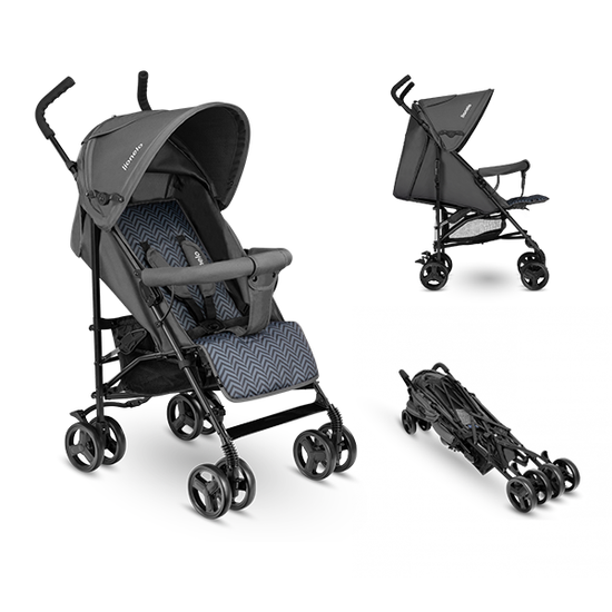 https://www.vanastenbabysuperstore.nl/media/catalog/product/5/9/5902581658876_1_buggy_lionelo_elia_graphite.png