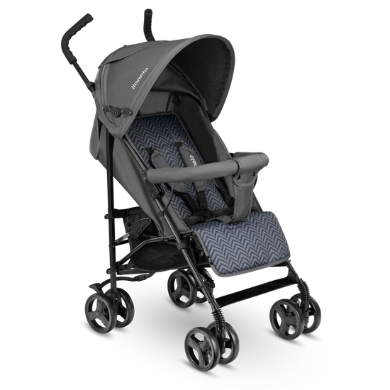 https://www.vanastenbabysuperstore.nl/media/catalog/product/5/9/5902581658876_2_buggy_lionelo_elia_graphite.png
