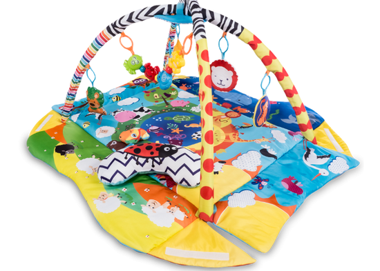 https://www.vanastenbabysuperstore.nl/media/catalog/product/5/9/5902581659149_1_speelkleed_lionelo_anika_plus.png