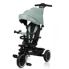 https://www.vanastenbabysuperstore.nl/media/catalog/product/5/9/5903771707817_1_driewieler_lionelo_berry_green_forest.png
