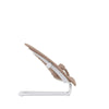 Newbornset Cybex Lemo/CLICK & FOLD Bouncer Canvas Almond Beige/Beige