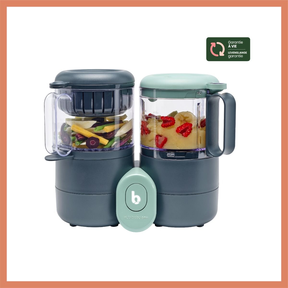 https://www.vanastenbabysuperstore.nl/media/catalog/product/7/4/7482160007_1_keukenmachine_babymoov_nutribaby_one.jpg