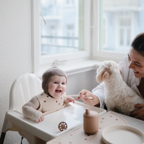 https://www.vanastenbabysuperstore.nl/media/catalog/product/8/2/8292800209_2_lepels_mushie_siliconen_ivory_2st.png