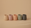 Beker Mushie Starter Blush