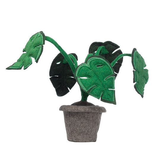 https://www.vanastenbabysuperstore.nl/media/catalog/product/8/3/8372300505_1_plant_kidsdepot_monstera.jpg