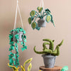 KidsDepot Hangplant Big Leaves