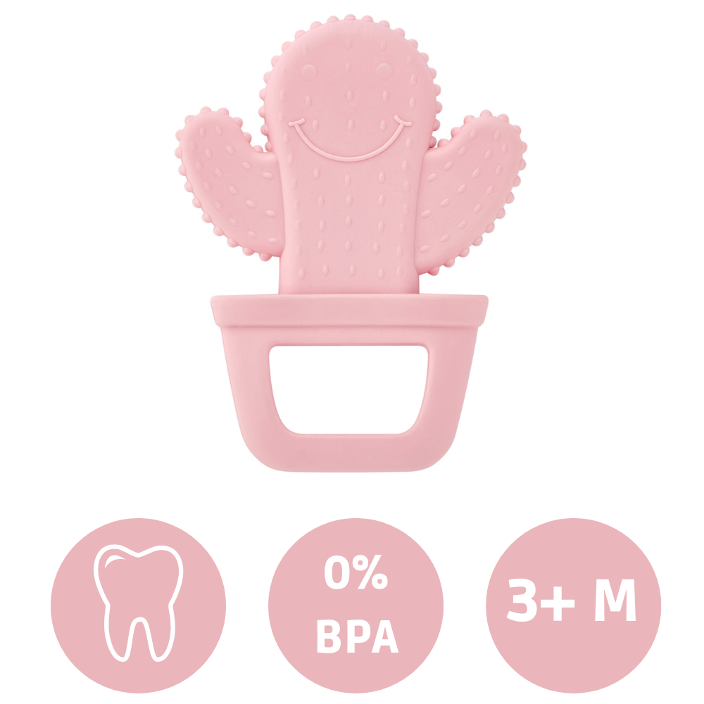 https://www.vanastenbabysuperstore.nl/media/catalog/product/8/6/8681049276285_1_bijtspeeltje_babyjem_cactus_pink.png