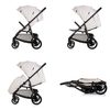 Buggy Chipolino Insta Biscotta