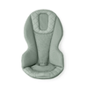 Bouncer Ergobaby Evolve 3-in-1 Sage Green Mesh