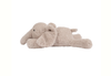 Hartslagknuffel Flow Amsterdam George Blush