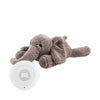 Hartslagknuffel Flow Amsterdam George Grey