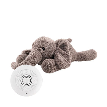 Hartslagknuffel Flow Amsterdam George Grey