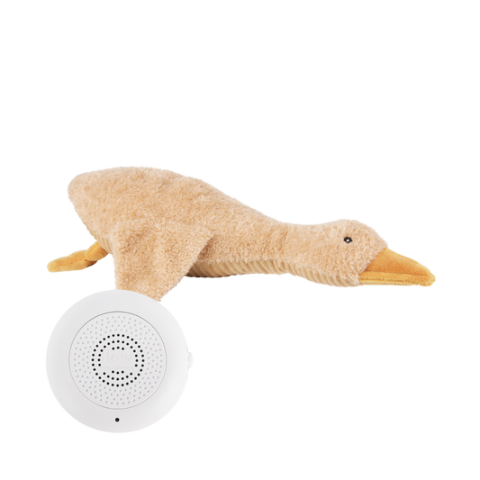 https://www.vanastenbabysuperstore.nl/media/catalog/product/9/6/9602400028_1_hartslagknuffel_flow_amsterdam_liva_brown.png