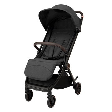 https://www.vanastenbabysuperstore.nl/media/catalog/product/9/9/9961110679_1_buggy_bmicro_dark_grey.png