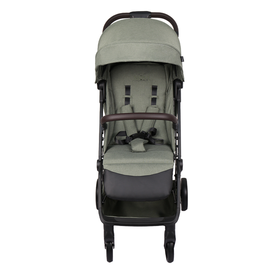 https://www.vanastenbabysuperstore.nl/media/catalog/product/9/9/9961110692_2_buggy_novi_babyr_cloud_premium_green_melange.png