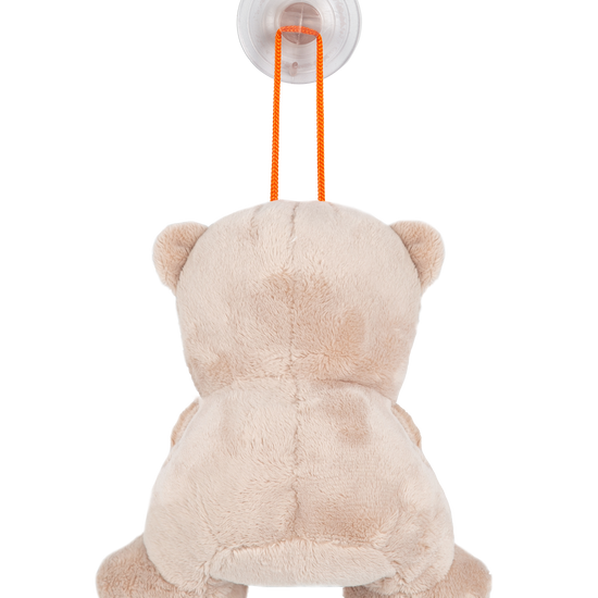 https://www.vanastenbabysuperstore.nl/media/catalog/product/9/9/9961210021_02_BabyOnBoard_Titanium_Baby_Teddybeer.png