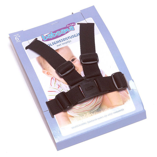 https://www.vanastenbabysuperstore.nl/media/catalog/product/9/9/9962100007_1_veiligheidstuigje_titanium_baby_nylon_zwart.jpg