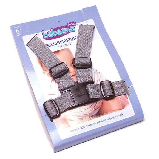 Veiligheidstuigje Titanium Baby Nylon Grijs