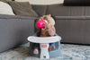 Vloerzitje Little Tikes My First Seat Grey