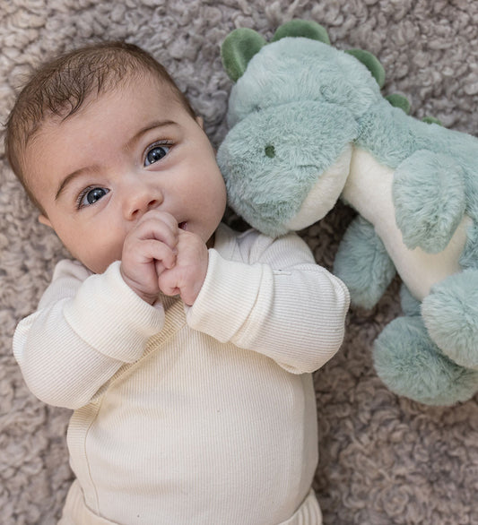 Teddykompaniet Knuffel - Petri - 25 cm - Groen - Teddykompaniet - OneSize - Knuffels