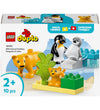 https://www.kids-world.com/images/originals/AT114.jpg