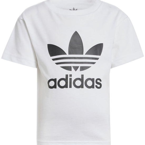 https://www.kids-world.com/images/originals/AW197.jpg