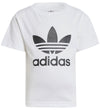 https://www.kids-world.com/images/originals/AW197.jpg